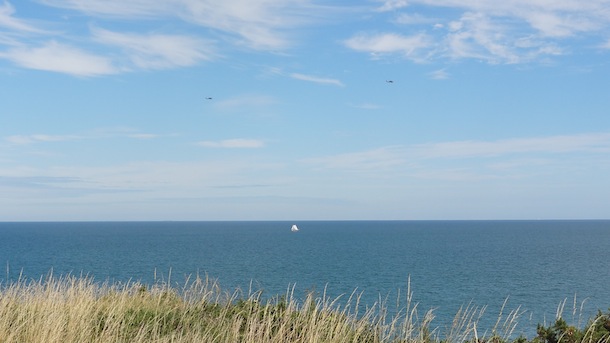 ‘Horticultural pornography’ pictures of nice gardens or offensive language? | Mind your language