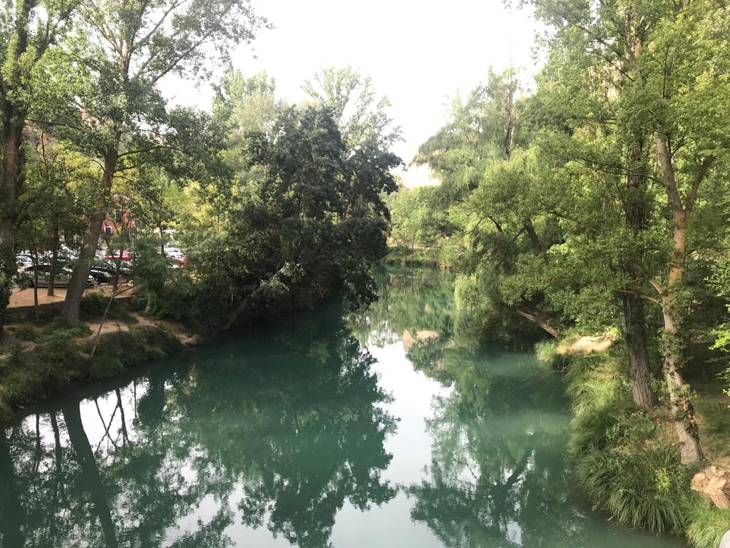 Technological expertise